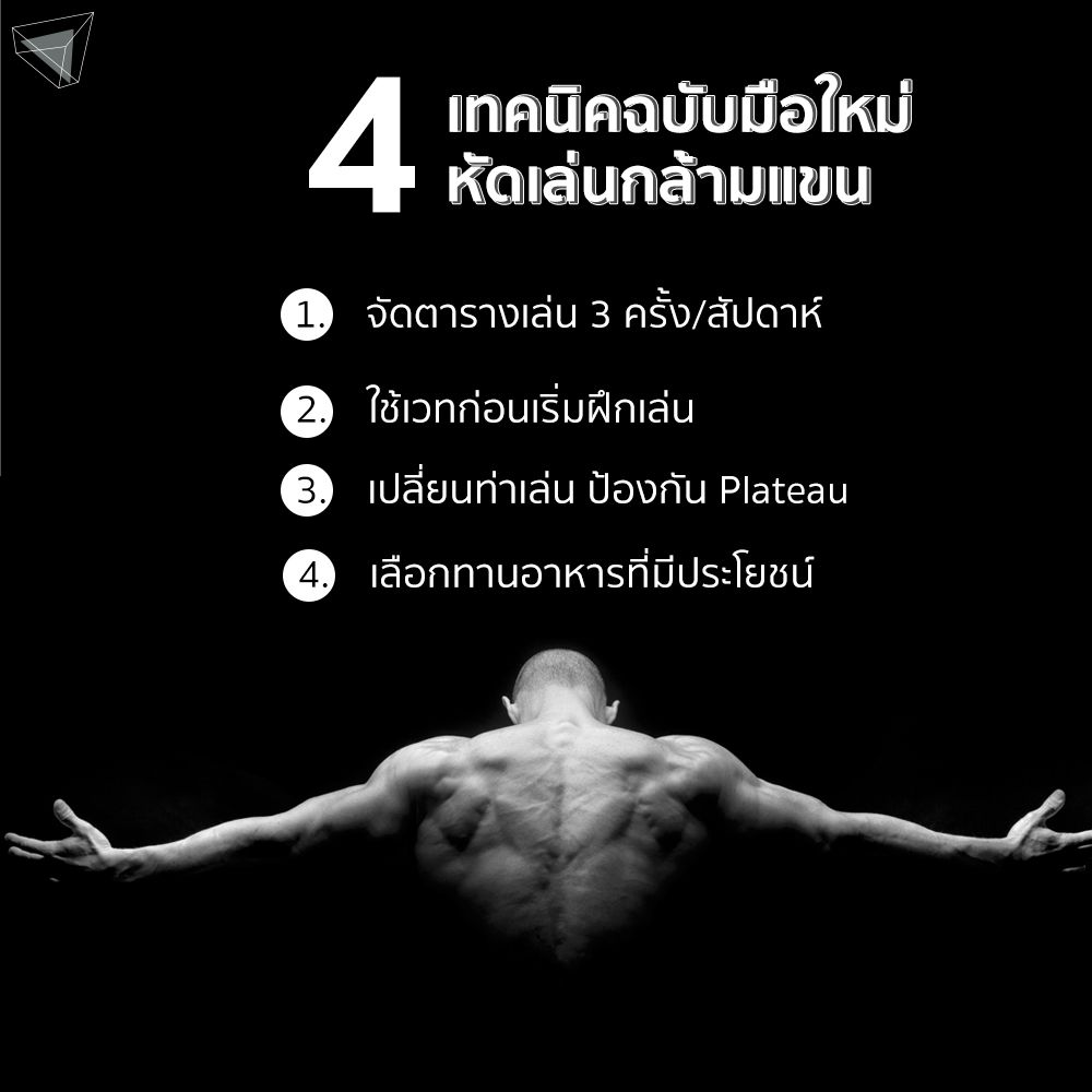 10 ท่าเล่นกล้ามแขน พร้อมเทคนิคพิชิตให้กล้ามชัด ฟิต สวย | Thomasthailand