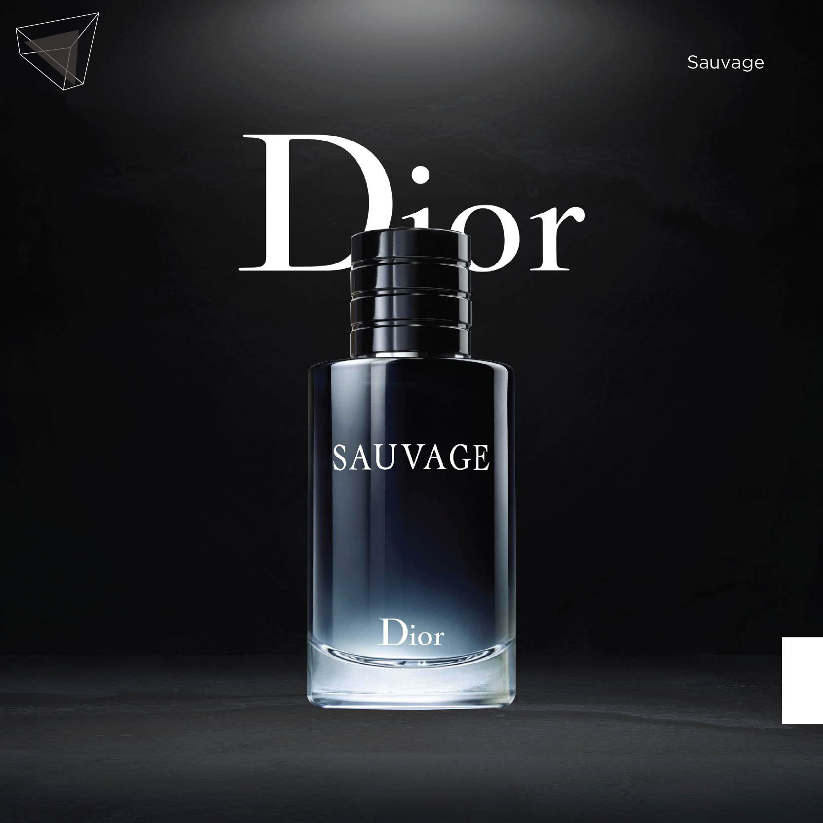 น้ำหอมผู้ชาย สไตล์เพลย์บอย : Dior Sauvage
